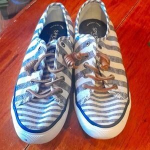 Size 7 blue and cream Sperry  sneakers